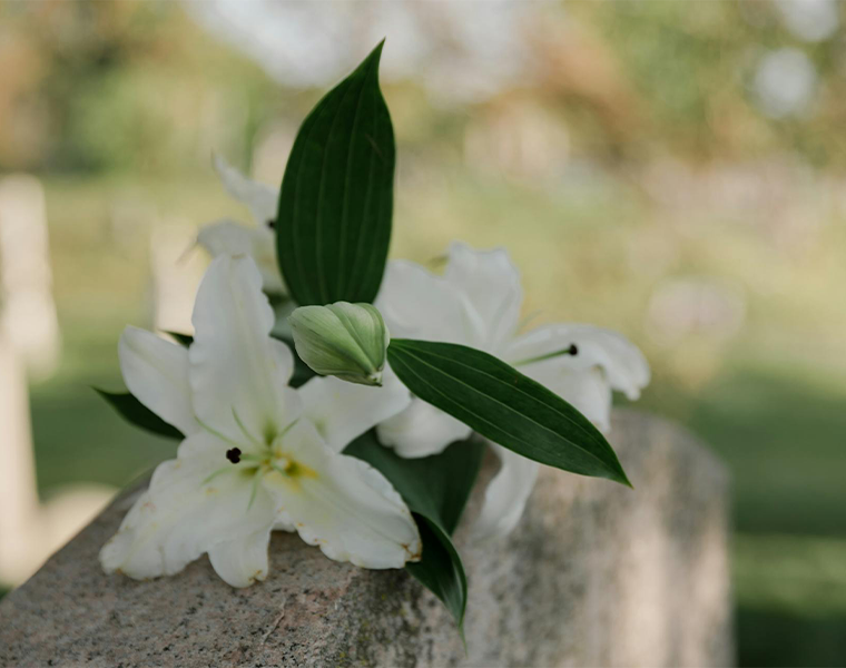 A lily laying on top of a grave stone